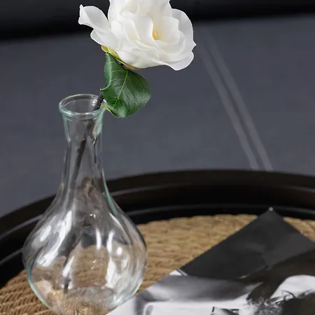 Appartement Wyjatkowe Z Klimatyzacja Dla Pary W Gliwicach By Renters