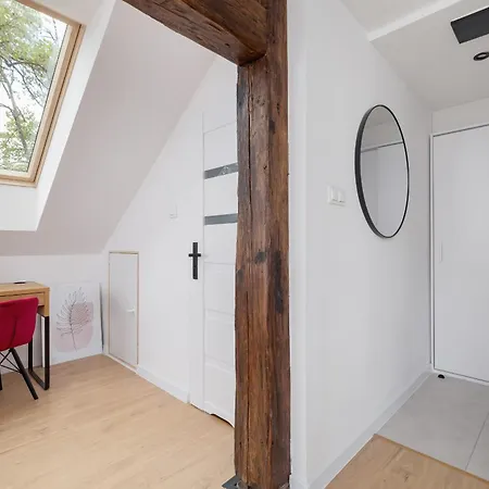 Wyjatkowe Z Klimatyzacja Dla Pary W Gliwicach By Renters * Gliwice