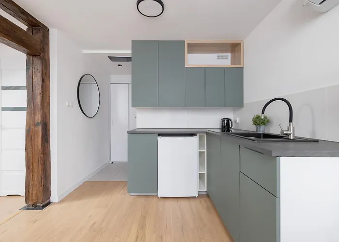 Wyjatkowe Z Klimatyzacja Dla Pary W Gliwicach By Renters * Γκλίβιτσε