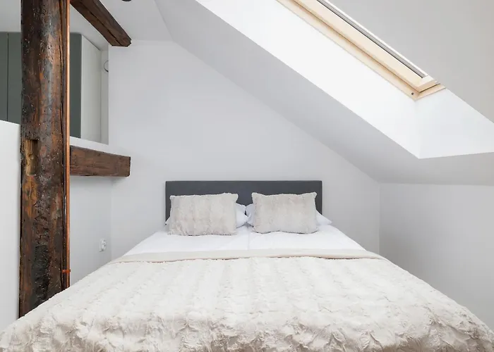 Διαμέρισμα Wyjatkowe Z Klimatyzacja Dla Pary W Gliwicach By Renters *