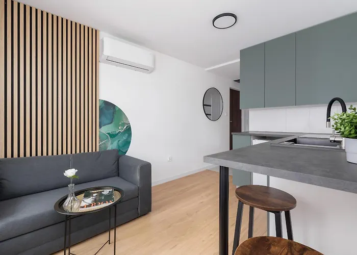 Wyjatkowe Z Klimatyzacja Dla Pary W Gliwicach By Renters * Γκλίβιτσε